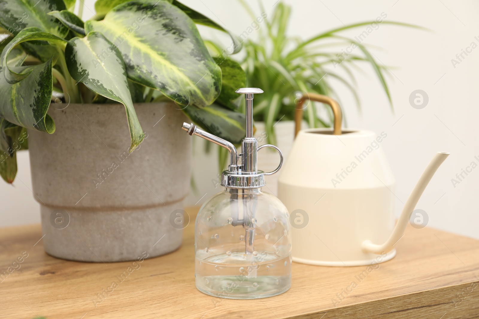 Photo of Spray bottle, watering can and different houseplants on wooden table indoors, closeup