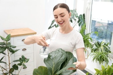 Photo of Young woman spraying beautiful houseplant with water from bottle indoors