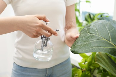 Photo of Young woman spraying beautiful houseplant with water from bottle indoors, closeup