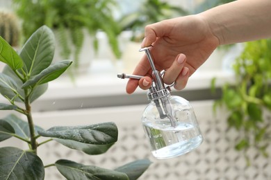 Photo of Young woman spraying beautiful houseplant with water from bottle indoors, closeup
