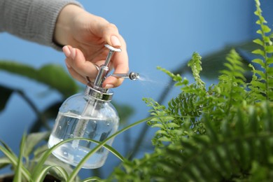 Photo of Young woman spraying beautiful houseplant with water from bottle indoors, closeup