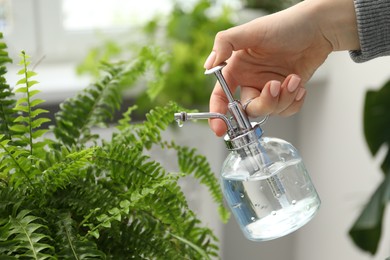 Photo of Young woman spraying beautiful houseplant with water from bottle indoors, closeup