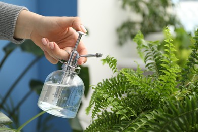 Photo of Young woman spraying beautiful houseplant with water from bottle indoors, closeup