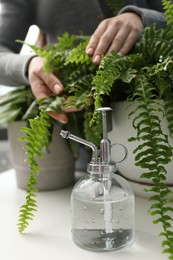 Photo of Woman with houseplants and spray bottle at white table indoors, closeup