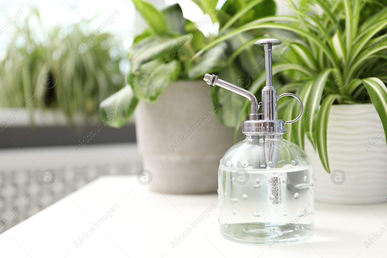Photo of Spray bottle and different houseplants on white table indoors, closeup. Space for text
