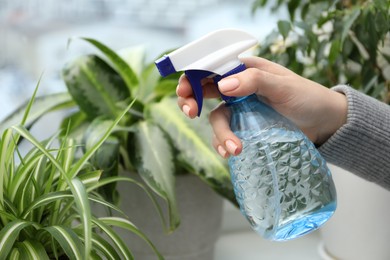 Photo of Young woman spraying beautiful houseplant with water from bottle indoors, closeup