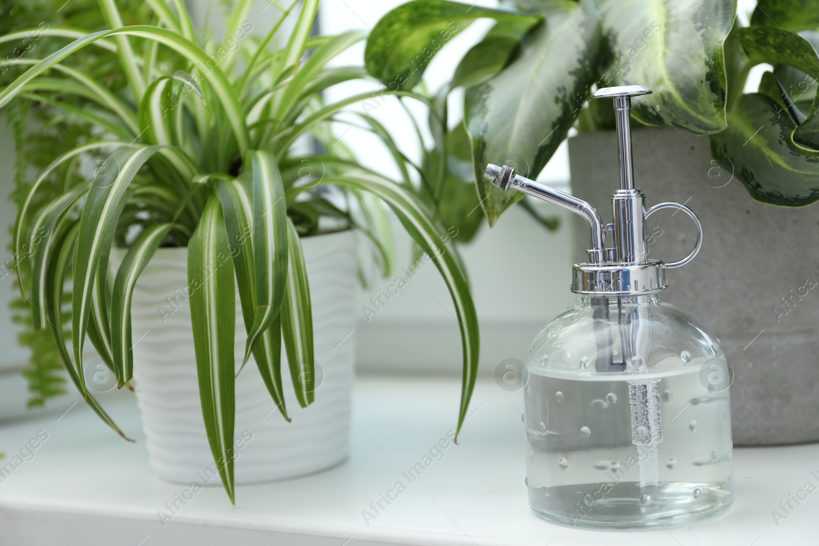 Photo of Spray bottle and different houseplants on windowsill indoors, closeup