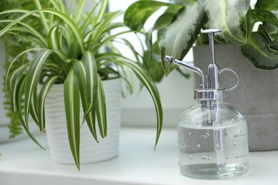 Photo of Spray bottle and different houseplants on windowsill indoors, closeup