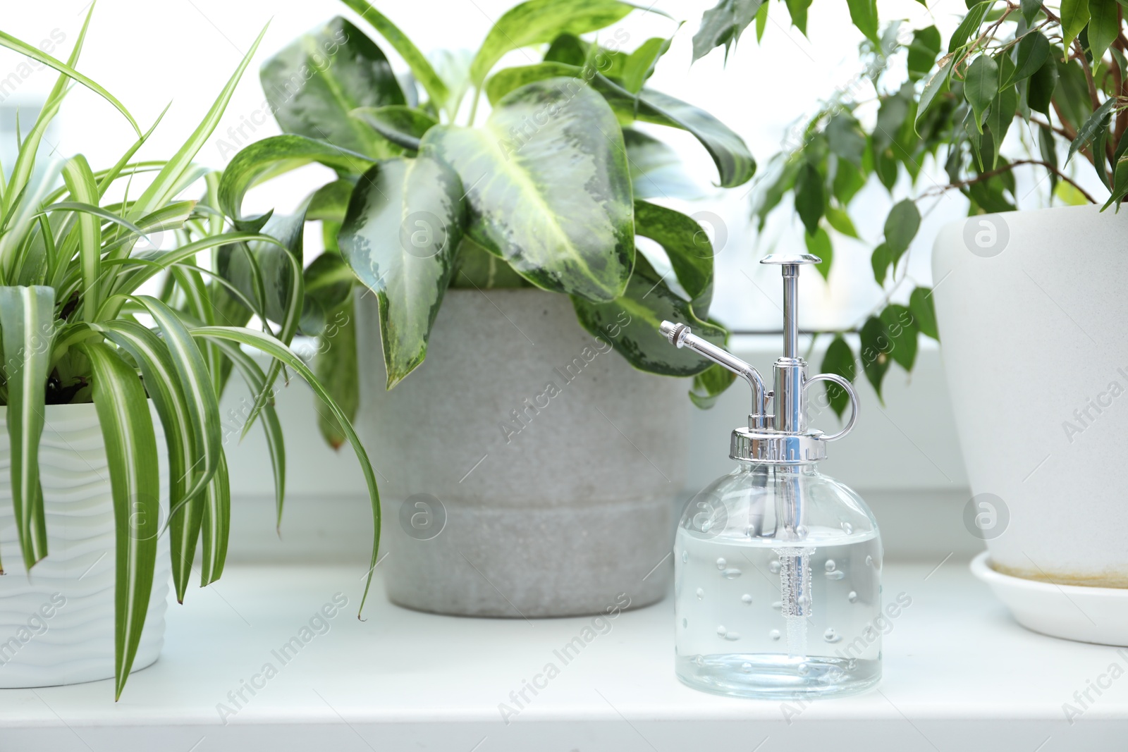 Photo of Spray bottle and different houseplants on windowsill indoors, closeup
