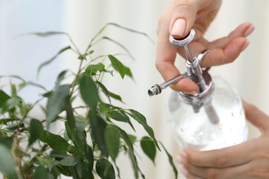 Photo of Young woman spraying beautiful houseplant with water from bottle indoors, closeup