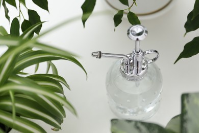 Photo of Spray bottle and different houseplants on white table, above view