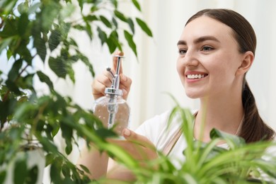 Photo of Young woman spraying beautiful houseplant with water from bottle indoors
