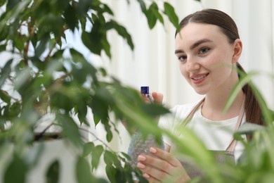 Photo of Young woman spraying beautiful houseplant with water from bottle indoors