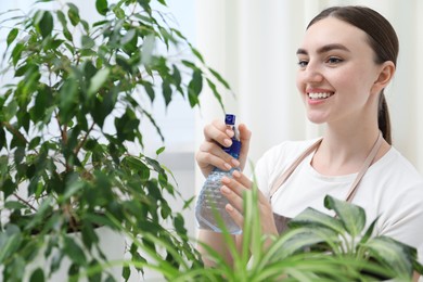 Photo of Young woman spraying beautiful houseplant with water from bottle indoors