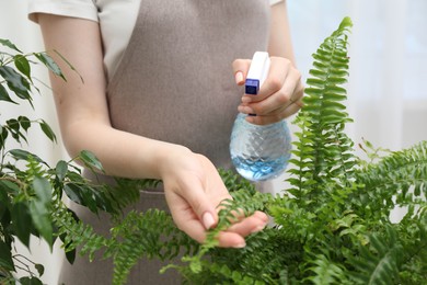 Photo of Young woman spraying beautiful houseplant with water from bottle indoors, closeup