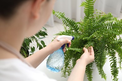 Photo of Young woman spraying beautiful houseplant with water from bottle indoors, closeup