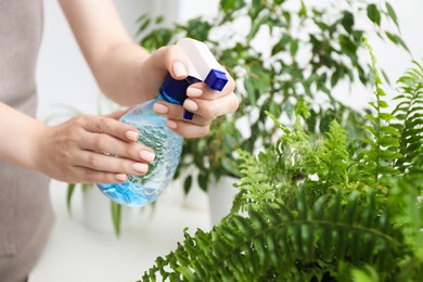 Photo of Young woman spraying beautiful houseplant with water from bottle indoors, closeup