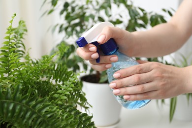 Photo of Young woman spraying beautiful houseplant with water from bottle indoors, closeup