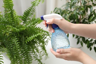 Photo of Young woman spraying beautiful houseplant with water from bottle indoors, closeup