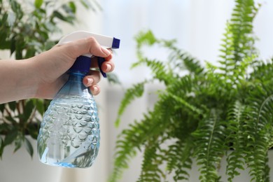 Photo of Young woman spraying beautiful houseplant with water from bottle indoors, closeup