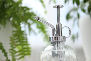 Photo of Spray bottle and different houseplants indoors, closeup. Space for text