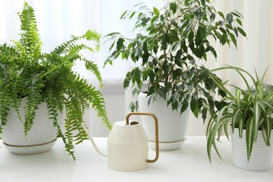 Photo of Watering can and different houseplants on white table indoors