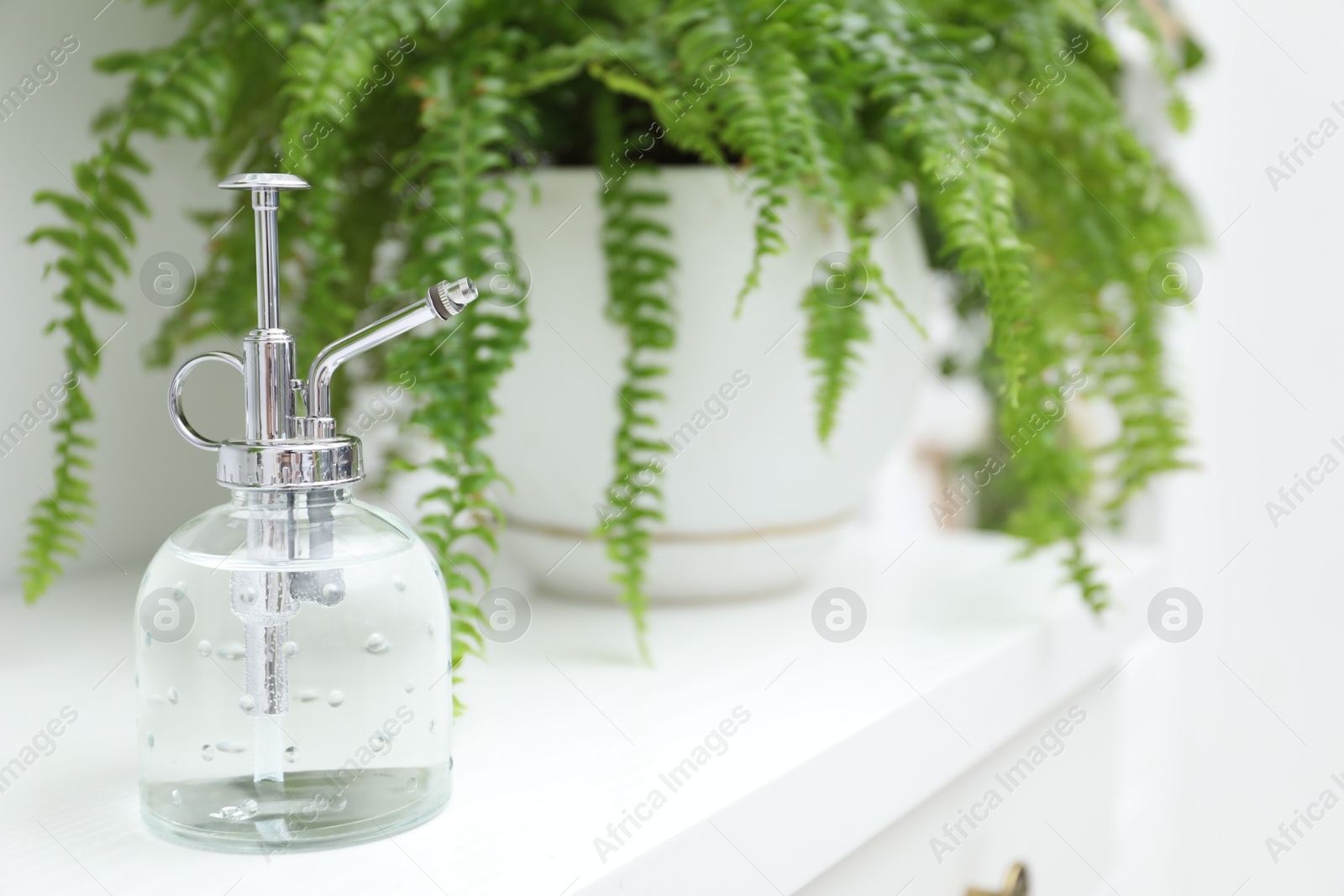 Photo of Spray bottle and houseplant on white table indoors, closeup. Space for text