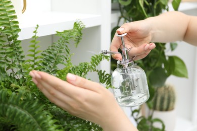 Photo of Young woman spraying beautiful houseplant with water from bottle indoors, closeup