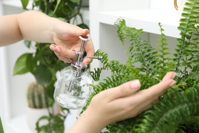 Photo of Young woman spraying beautiful houseplant with water from bottle indoors, closeup