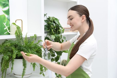 Photo of Young woman spraying beautiful houseplant with water from bottle indoors
