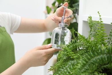 Photo of Young woman spraying beautiful houseplant with water from bottle indoors, closeup