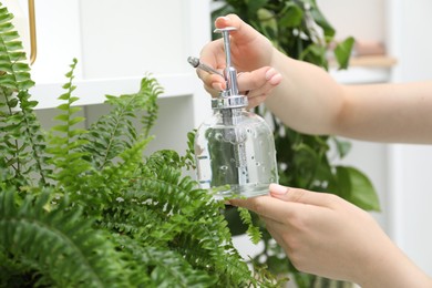 Photo of Young woman spraying beautiful houseplant with water from bottle indoors, closeup