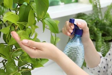 Photo of Young woman spraying beautiful houseplant with water from bottle indoors, closeup