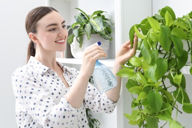 Photo of Young woman spraying beautiful houseplant with water from bottle indoors