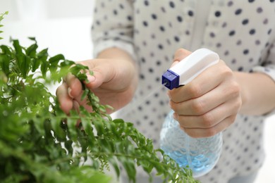 Photo of Young woman spraying beautiful houseplant with water from bottle indoors, closeup