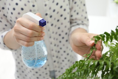 Photo of Young woman spraying beautiful houseplant with water from bottle indoors, closeup