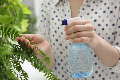 Photo of Young woman spraying beautiful houseplant with water from bottle indoors, closeup