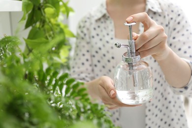 Photo of Young woman spraying beautiful houseplant with water from bottle indoors, closeup