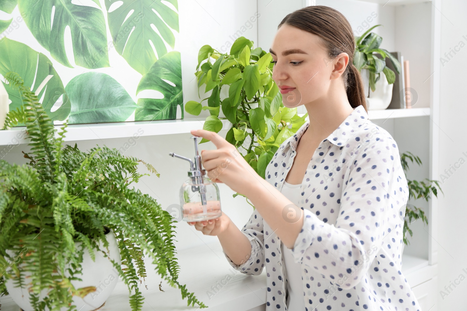 Photo of Young woman spraying beautiful houseplant with water from bottle indoors