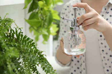 Photo of Young woman spraying beautiful houseplant with water from bottle indoors, closeup