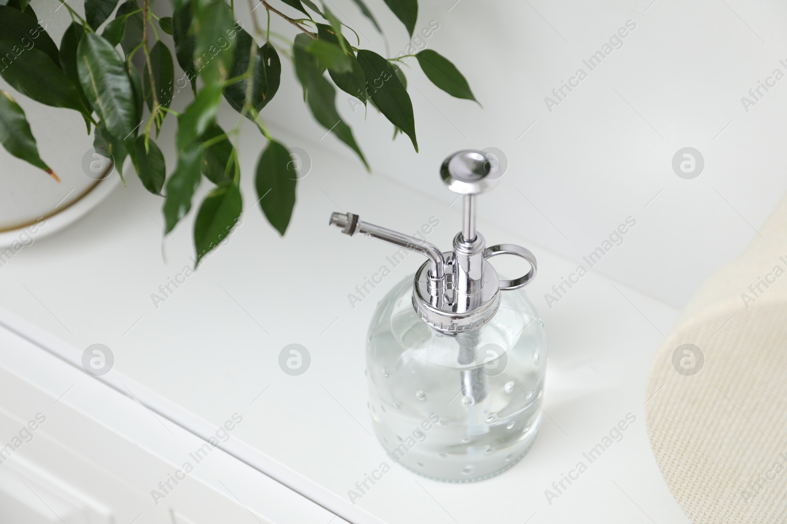 Photo of Spray bottle and potted houseplant on white shelf