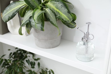 Photo of Spray bottle and potted houseplant on white shelf