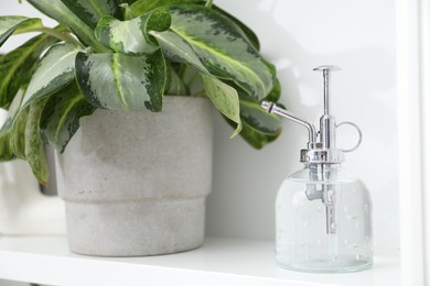 Photo of Spray bottle and potted houseplant on white shelf, closeup