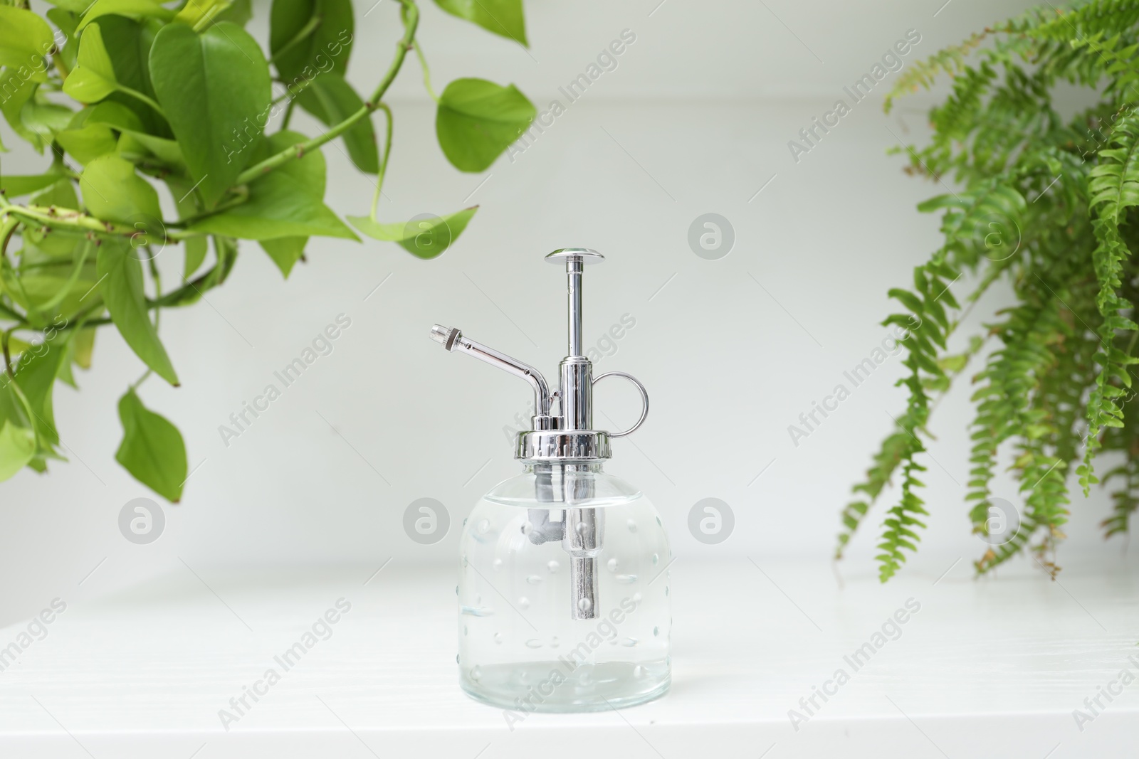 Photo of Spray bottle and different houseplants on white shelf