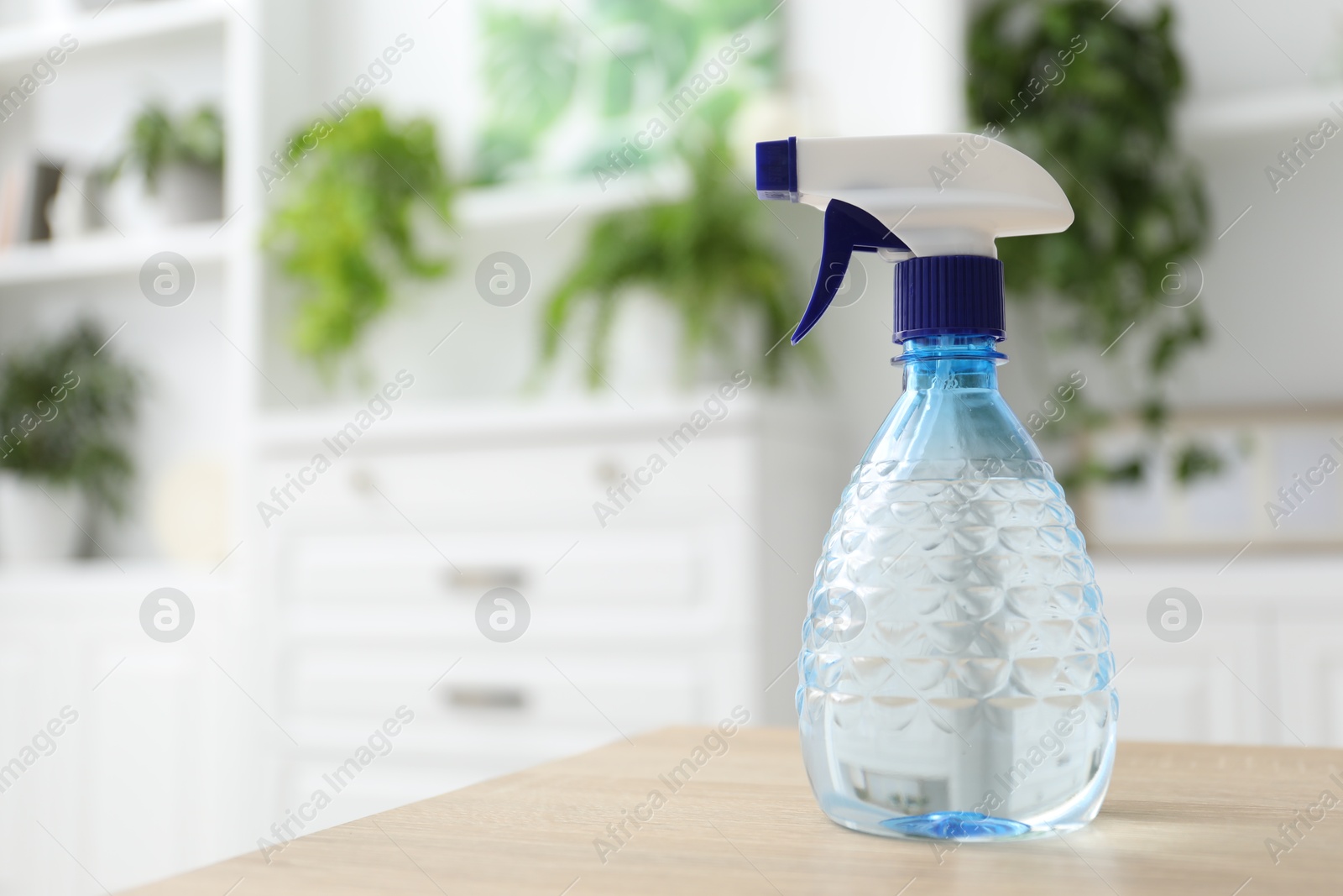 Photo of Houseplant care. Spray bottle on wooden table, closeup. Space for text