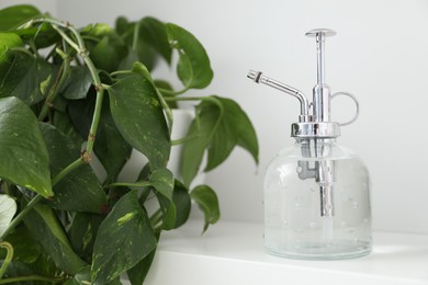 Photo of Spray bottle and potted houseplant on white shelf, closeup
