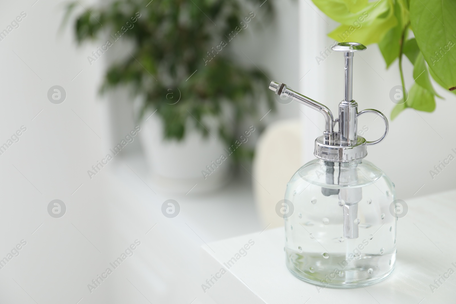 Photo of Spray bottle and potted houseplant on white shelf, closeup. Space for text