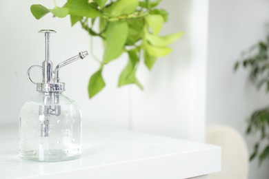 Photo of Spray bottle and potted houseplant on white shelf, closeup. Space for text
