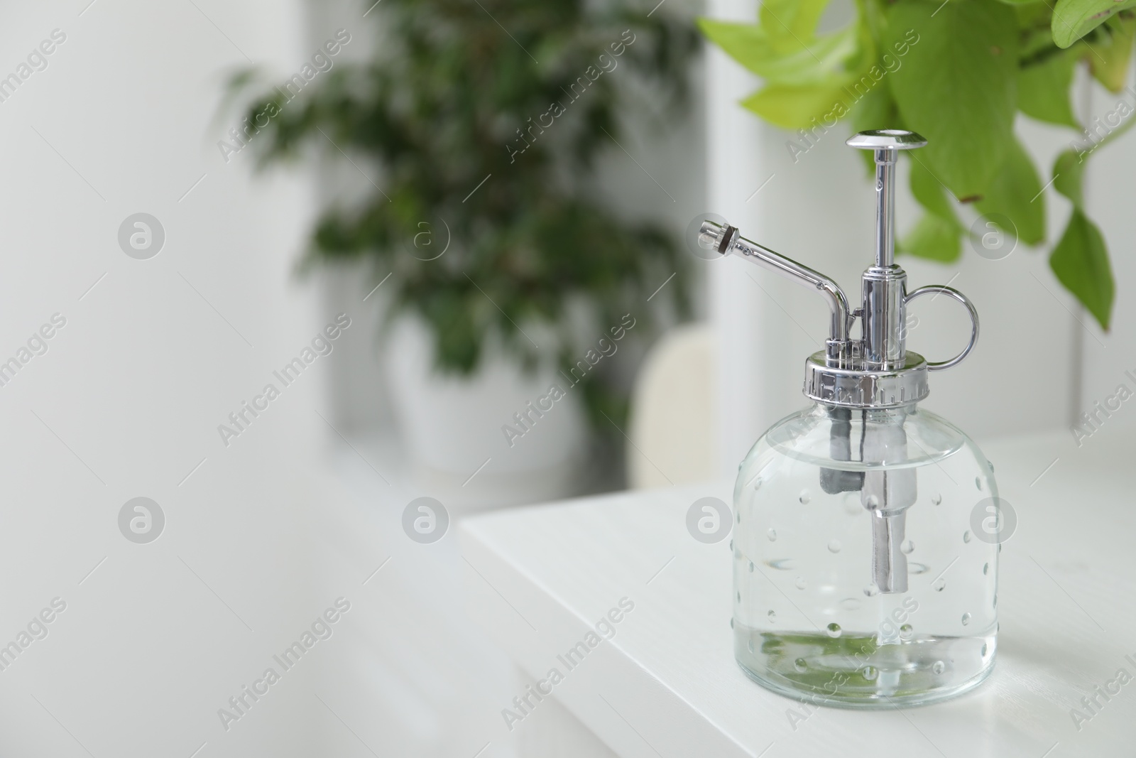 Photo of Spray bottle and potted houseplant on white shelf, closeup. Space for text