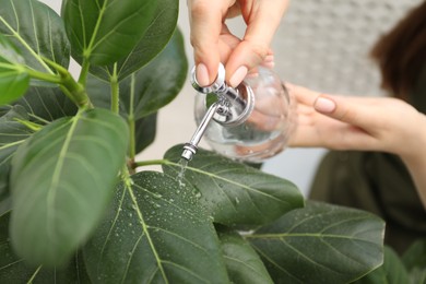 Photo of Young woman spraying beautiful houseplant with water from bottle indoors, closeup